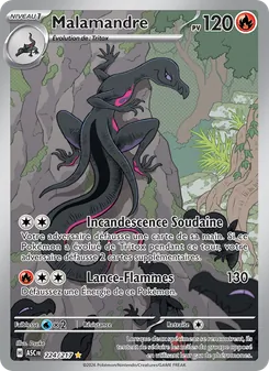Carte Pokémon Malamandre 224 — Héros Transcendants