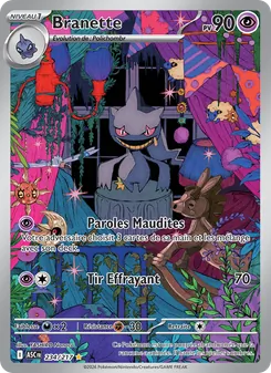 Carte Pokémon Branette 234 — Héros Transcendants