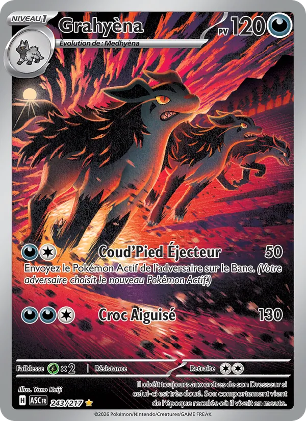 Carte Pokémon Grahyèna 243/217 de l'extension Héros Transcendants