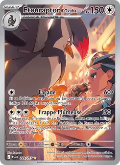 Carte Pokémon Étouraptor d'Okuba 249