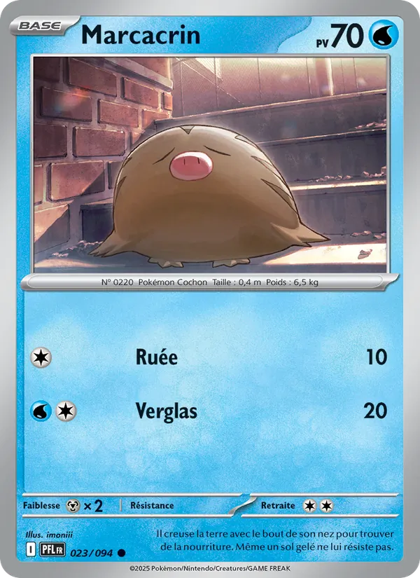 Carte Pokémon Marcacrin 023/94 de l'extension Flammes Fantasmagoriques