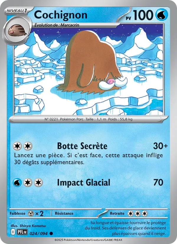 Carte Pokémon Cochignon 024/94 de l'extension Flammes Fantasmagoriques
