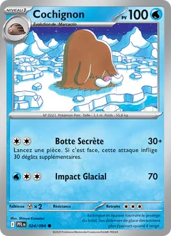 Carte Pokémon Cochignon 024 — Flammes Fantasmagoriques