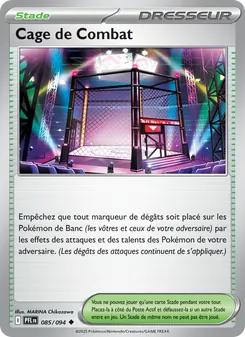 Carte Pokémon Cage de Combat 085 — Flammes Fantasmagoriques