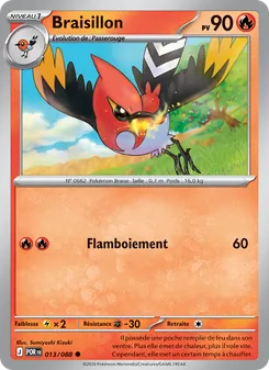 Carte Pokémon Braisillon 013