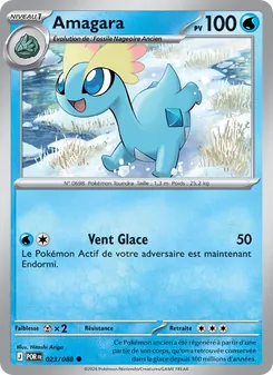 Carte Pokémon Amagara 023