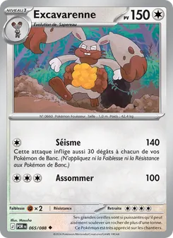 Carte Pokémon Excavarenne 065 — Équilibre Parfait