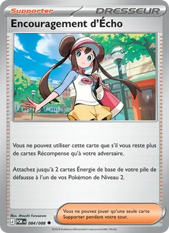 Carte Pokémon Encouragement d'Écho 084