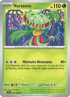 Carte Pokémon Vortente 004