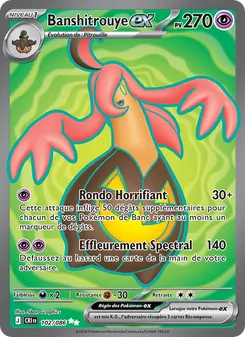 Carte Pokémon Banshitrouye-ex 102