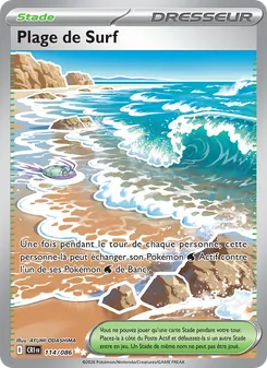 Carte Pokémon Plage de Surf 114