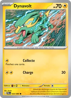 Carte Pokémon Dynavolt 023 — Nuit Noire