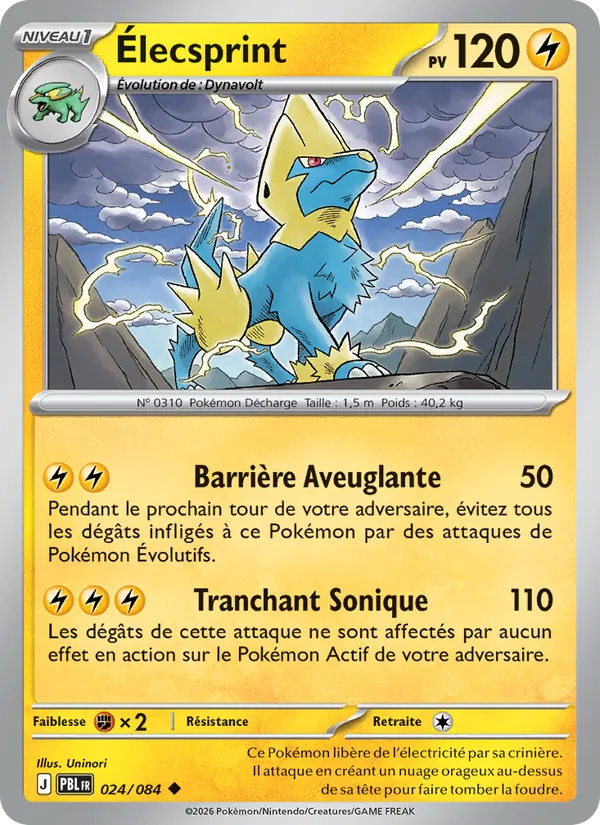 Carte Pokémon Élecsprint 024/84 de l'extension Nuit Noire