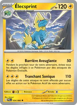 Carte Pokémon Élecsprint 024 — Nuit Noire