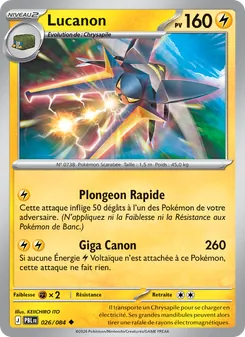 Carte Pokémon Lucanon 026 — Nuit Noire