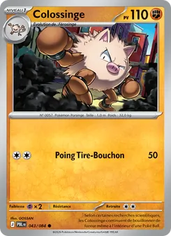 Carte Pokémon Colossinge 043 — Nuit Noire