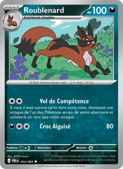 Carte Pokémon Roublenard 054 — Nuit Noire