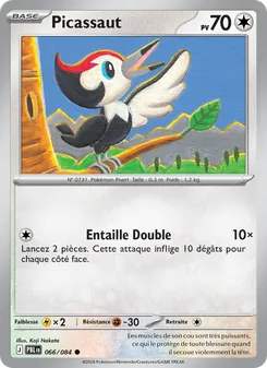 Carte Pokémon Picassaut 066 — Nuit Noire