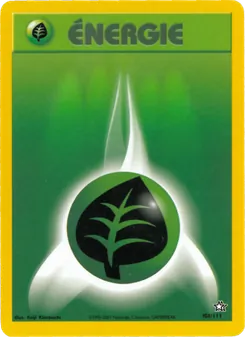 Carte Pokémon Énergie Plante 108