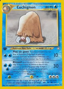 Carte Pokémon Cochignon 44