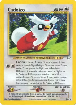 Carte Pokémon Cadoizo 5 — Neo Revelation