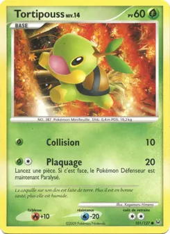 Carte Pokémon Tortipouss 101 — Platine