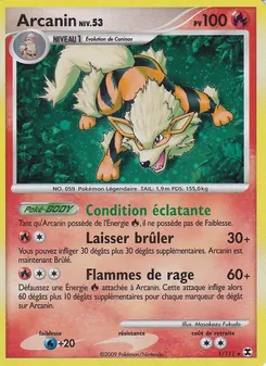 Carte Pokémon Arcanin Niv. 53 1 — Rivaux Émergeants