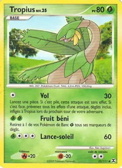Carte Pokémon Tropius Niv. 35 52 — Rivaux Émergeants