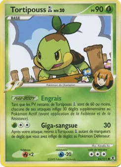 Carte Pokémon Tortipouss  Niv. 20 85 — Rivaux Émergeants