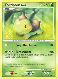 Carte Pokémon Tortipouss 131