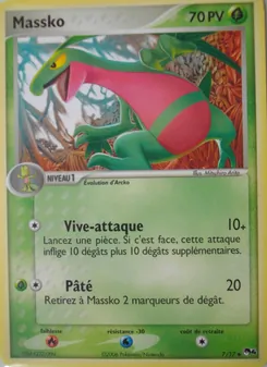 Carte Pokémon Massko 7