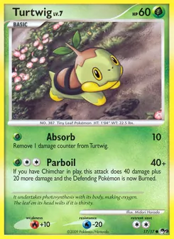 Carte Pokémon Tortipouss 17