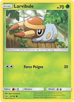 Carte Pokémon Larvibule 13