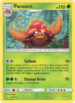 Carte Pokémon Parasect 5