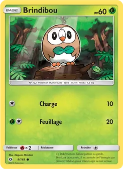 Carte Pokémon Brindibou 9