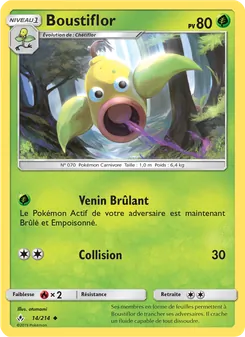 Carte Pokémon Boustiflor 14