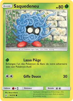 Carte Pokémon Saquedeneu 16