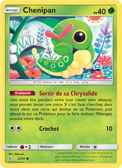 Carte Pokémon Chenipan 2
