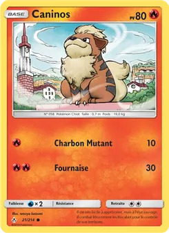 Carte Pokémon Caninos 21