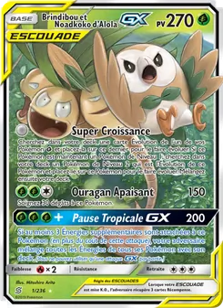 Carte Pokémon Brindibou et Noadkoko d’Alola GX 1