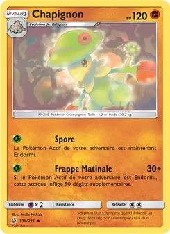 Carte Pokémon Chapignon 108