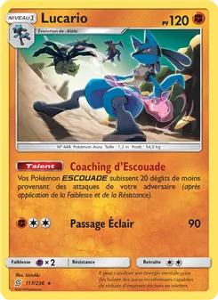 Carte Pokémon Lucario 117 — Harmonie des Esprits