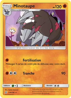 Carte Pokémon Minotaupe 119