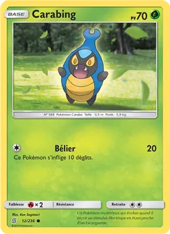 Carte Pokémon Carabing 12
