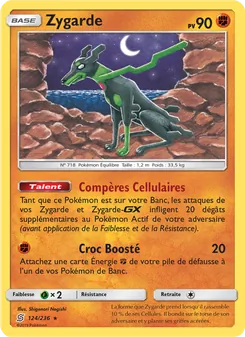 Carte Pokémon Zygarde 124