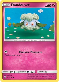 Carte Pokémon Doudouvet 143