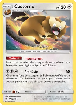 Carte Pokémon Castorno 172
