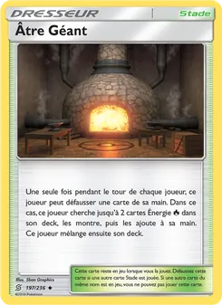Carte Pokémon Âtre Géant 197