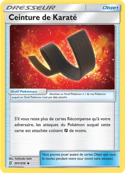 Carte Pokémon Ceinture de Karaté 201