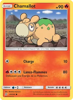 Carte Pokémon Chamallot 23
